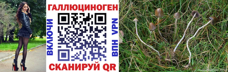 Галлюциногенные грибы прущие грибы  Баксан 