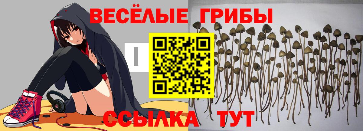 Галлюциногенные грибы MAGIC MUSHROOMS Баксан